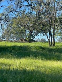 5235 Pacific Street Rocklin, CA 95677 - Photo 1 of 3 a view of a lake with a yard