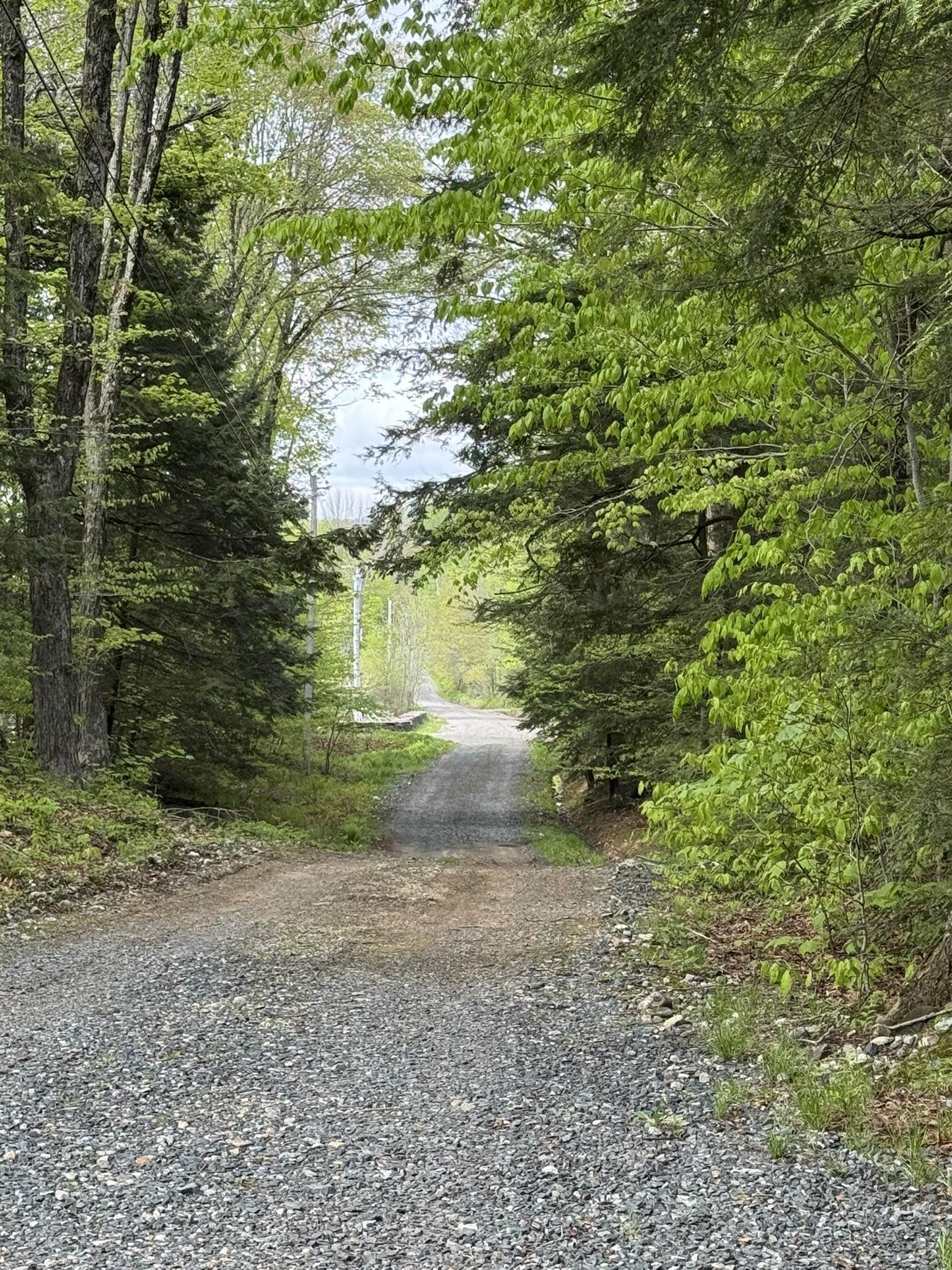712 Stimpson Hill Road Whitingham, VT 05361 - Photo 17 of 22 Gallery Image 17