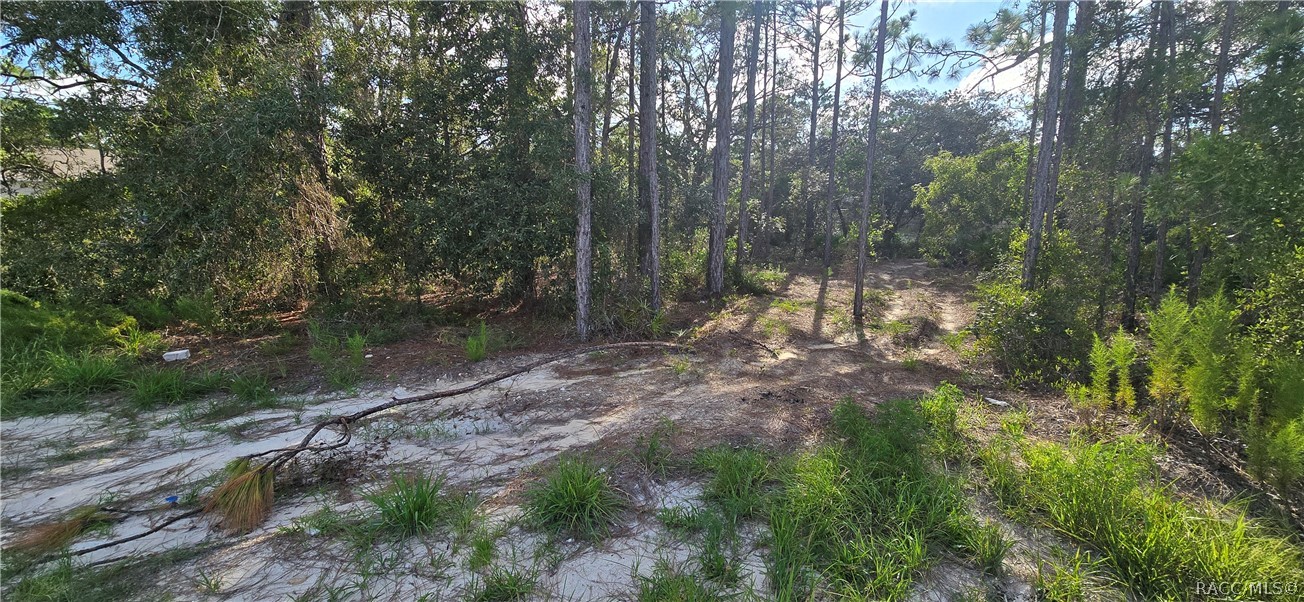 15281 Mottled Owl Road Weeki Wachee, FL 34614 - Photo 3 of 4 Gallery Image 3
