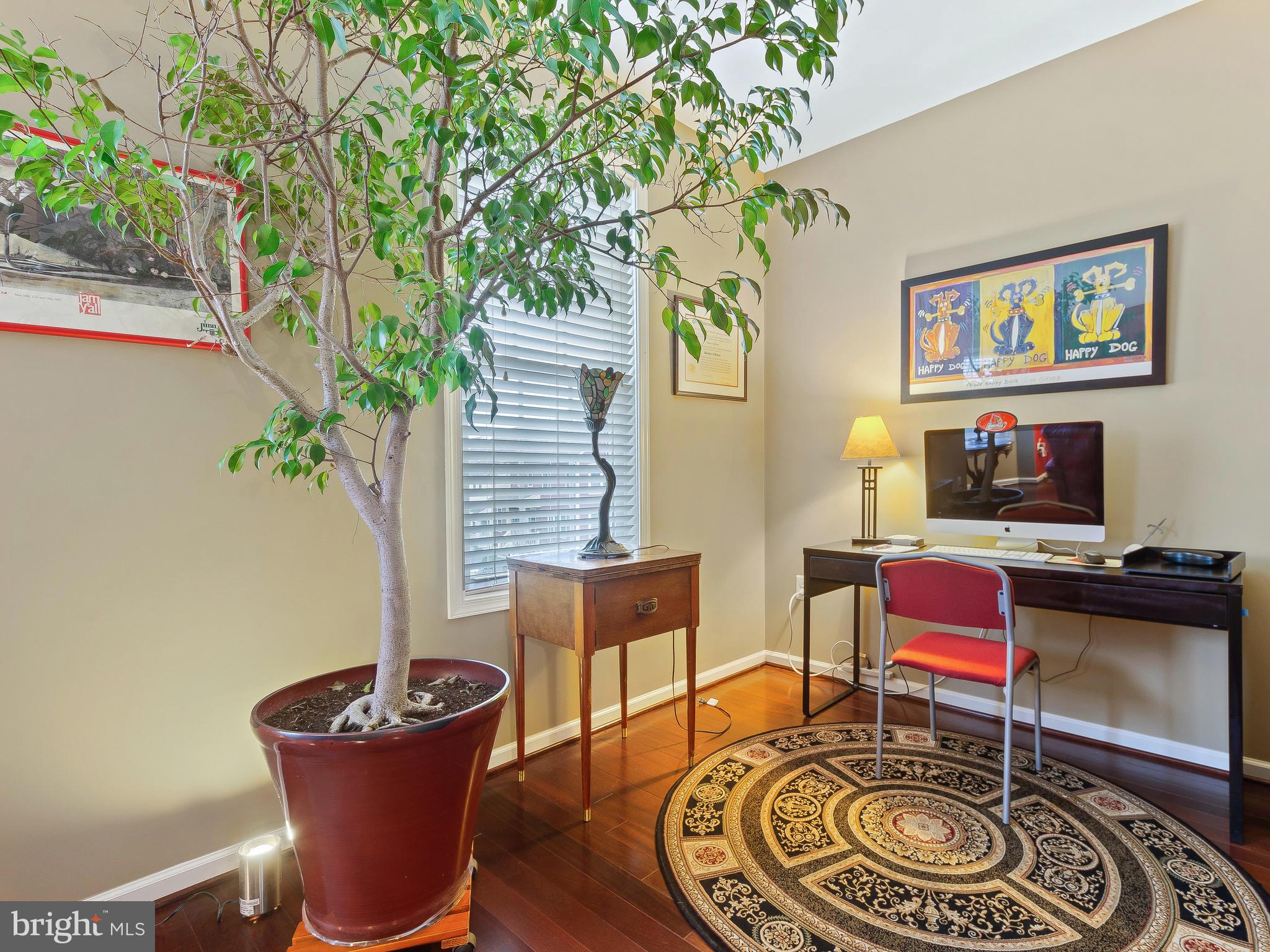 13610 Stargazer Lane Silver Spring, MD 20906 - Photo 6 of 43 a living room with furniture and a potted plant
