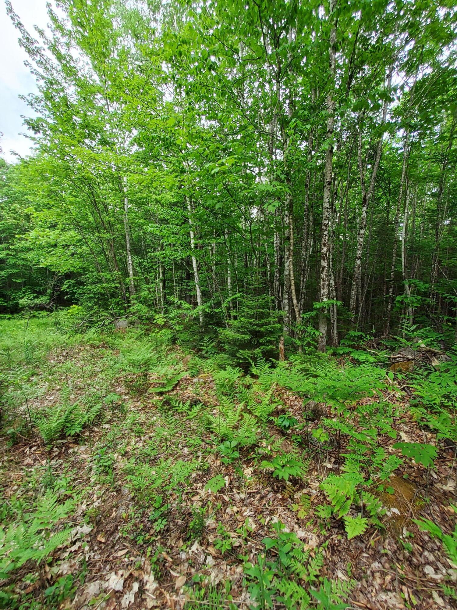 Lot 50 Map 14) Andover, ME 04216 - Photo 7 of 12 20260605_164925
