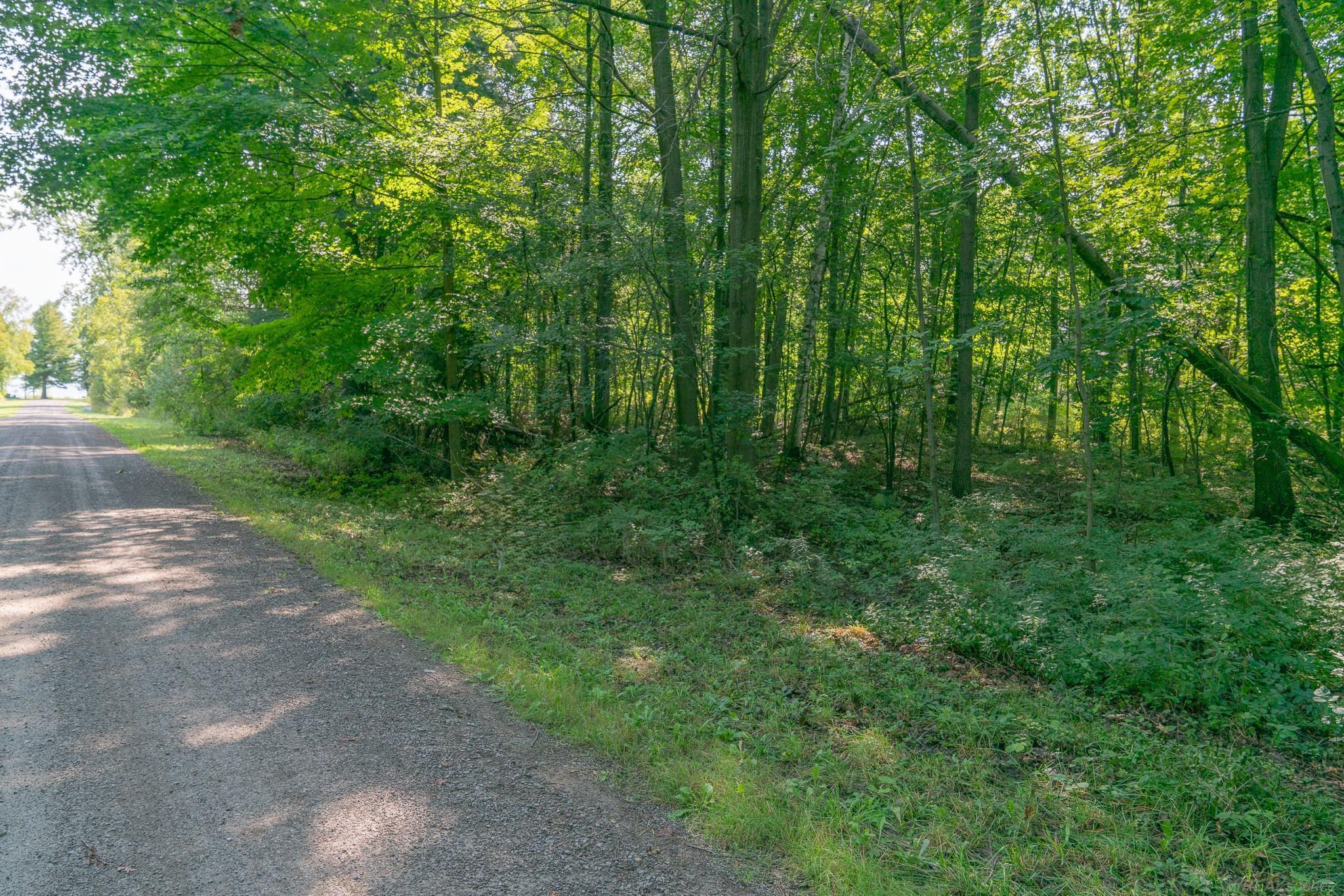 0 Schott Road Harbor Beach, MI 48441 - Photo 1 of 16