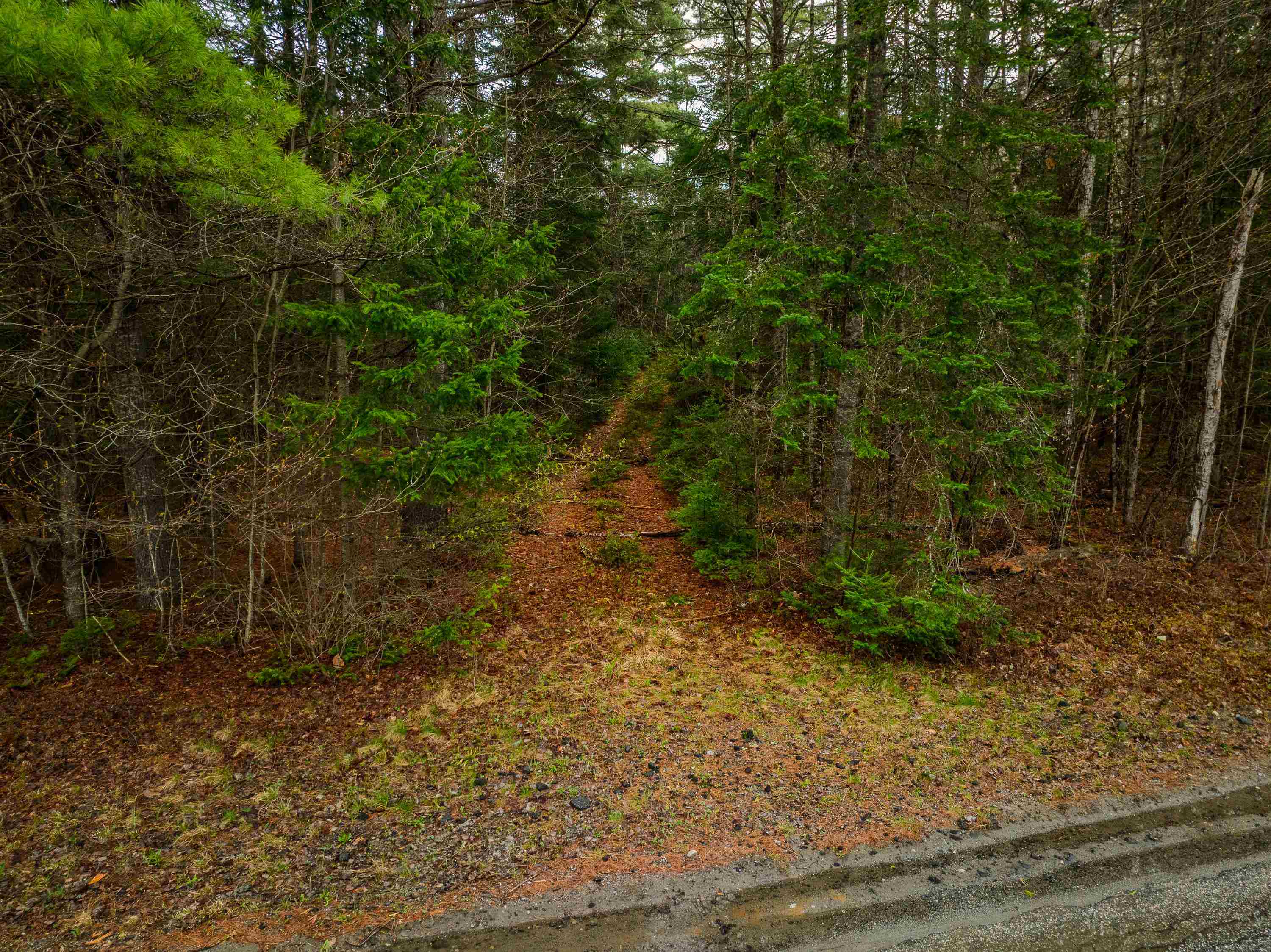 0 River Road, Unit 1 2 & 3 2 Bethlehem, NH 03574 - Photo 19 of 29