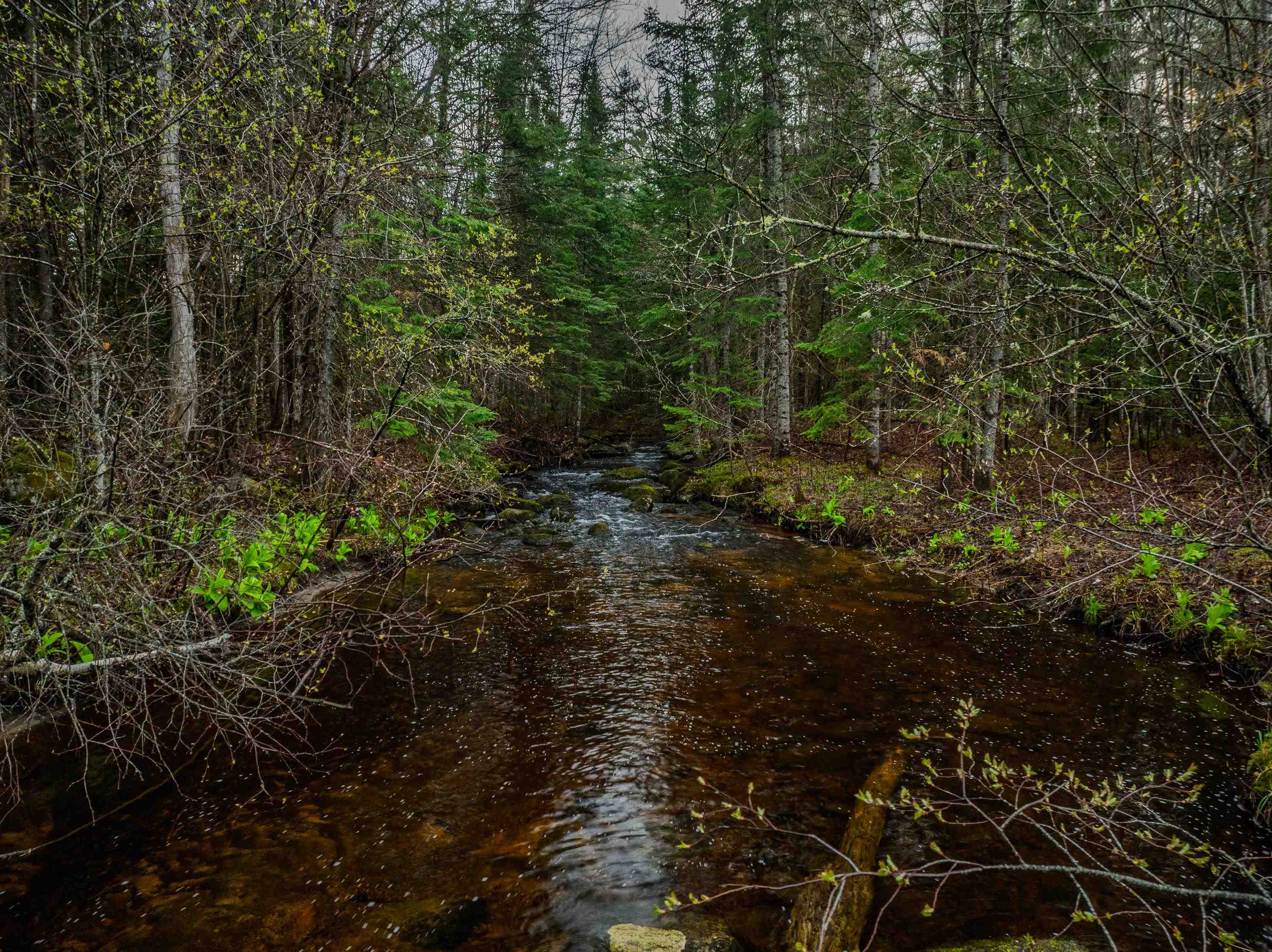 0 River Road, Unit 1 2 & 3 2 Bethlehem, NH 03574 - Photo 26 of 29