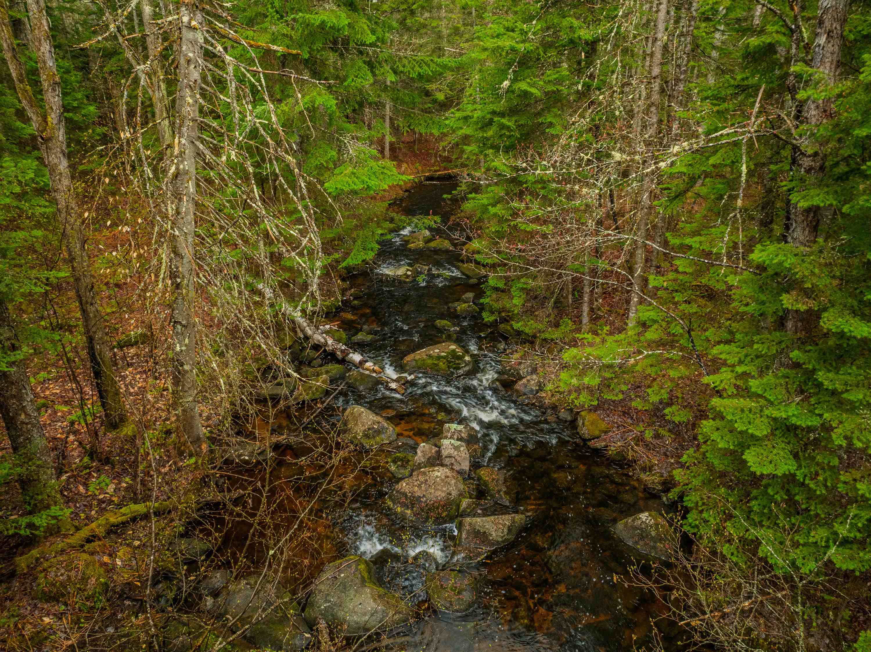 0 River Road, Unit 1 2 & 3 2 Bethlehem, NH 03574 - Photo 6 of 29