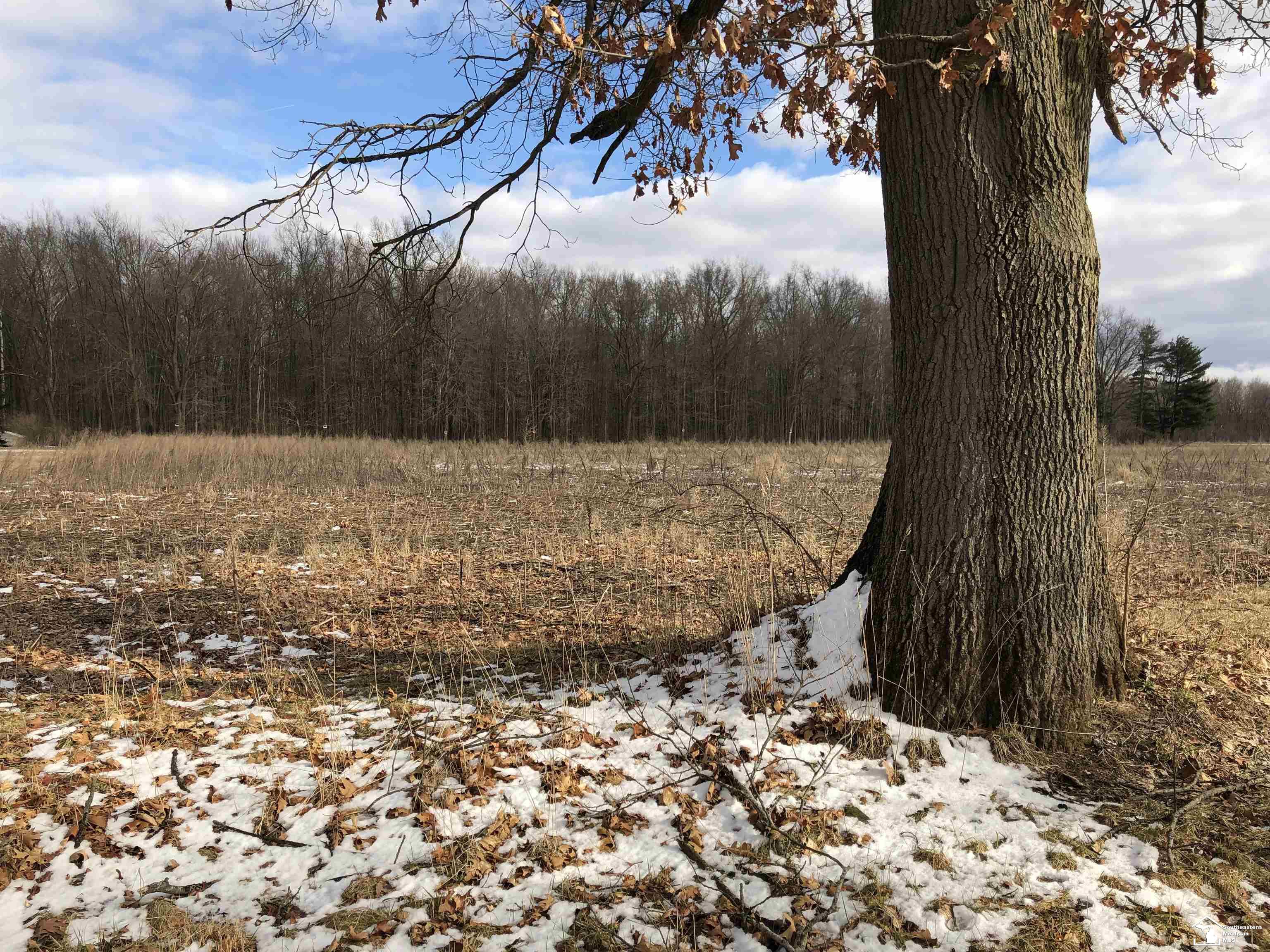 1 Townsend Road Maybee, MI 48159 - Photo 2 of 7
