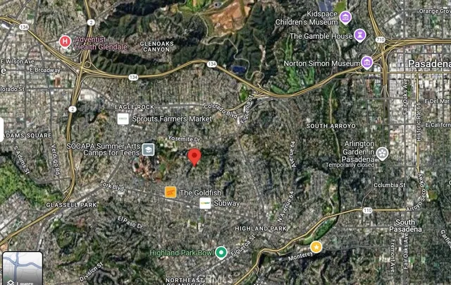 a view of a yard with plants