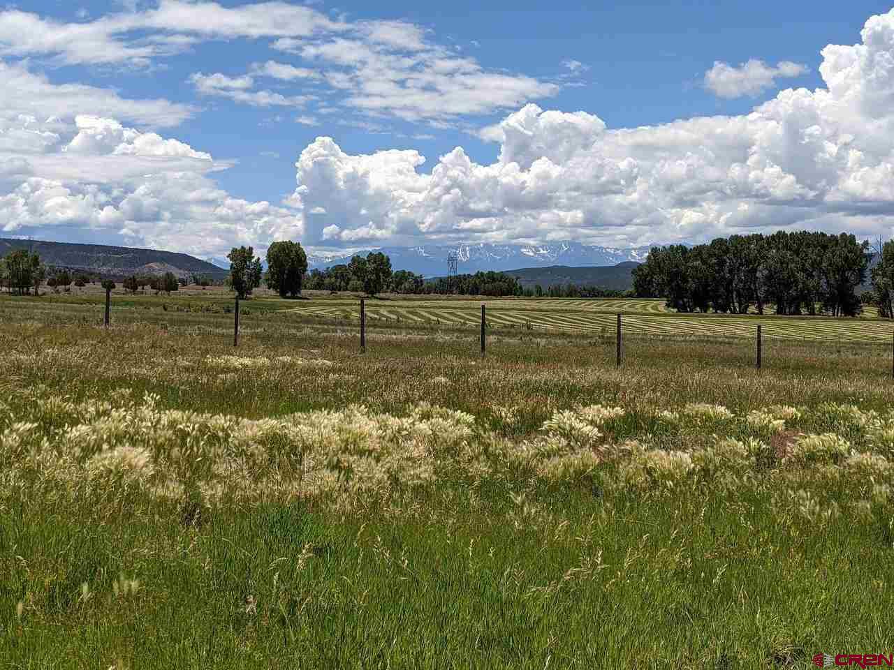 Tbd - P3 Uncompahgre Road Montrose, CO 81403 - Photo 16 of 19