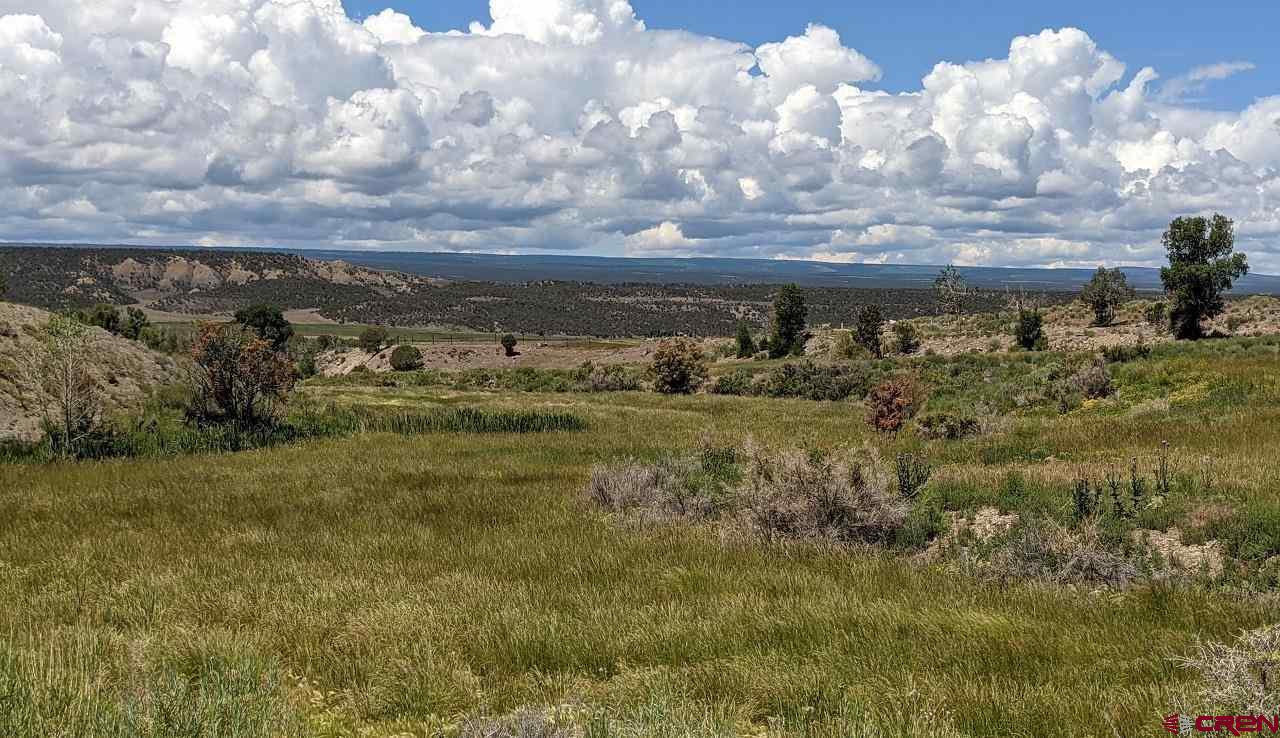 Tbd - P3 Uncompahgre Road Montrose, CO 81403 - Photo 19 of 19