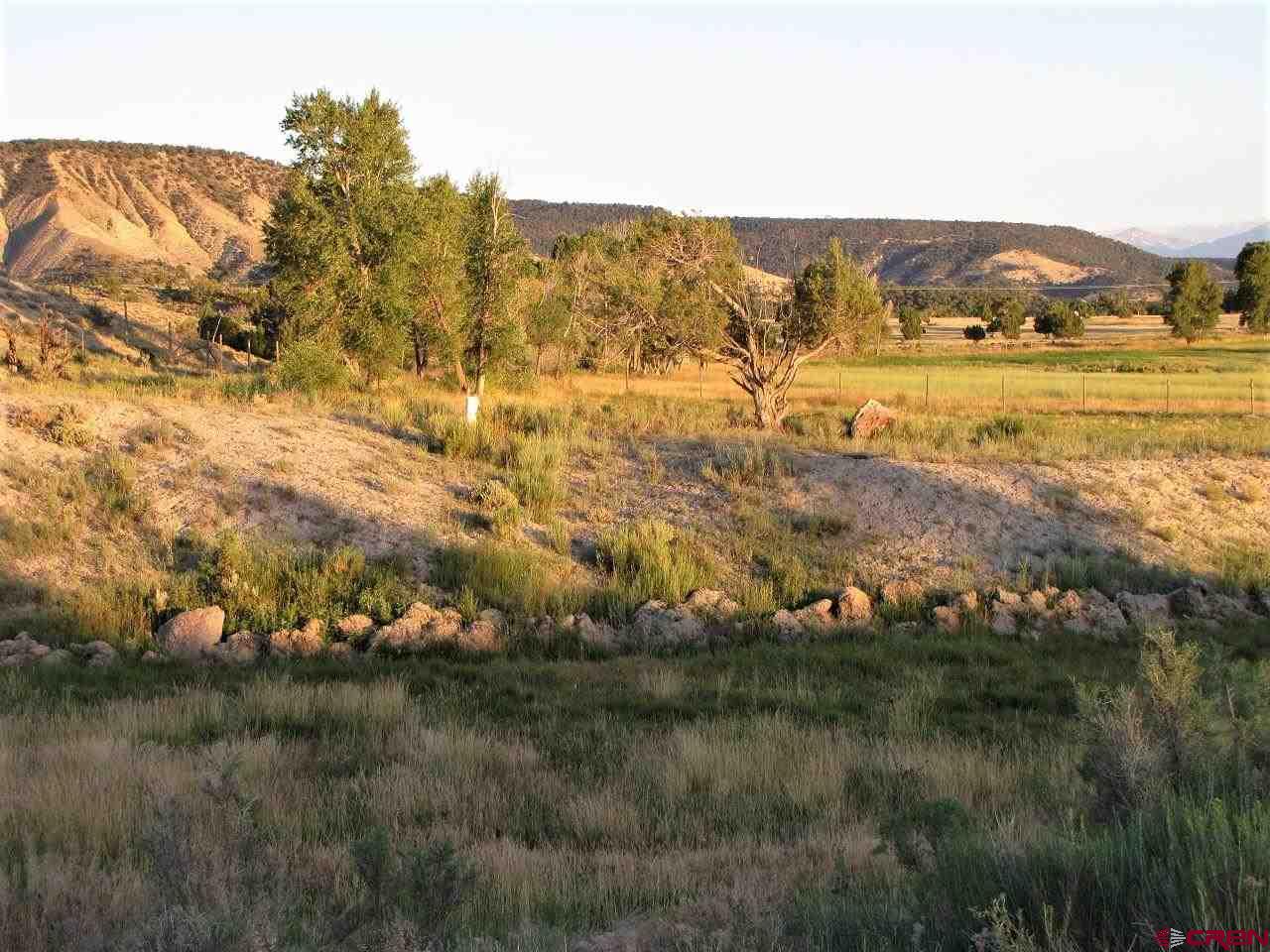 Tbd - P3 Uncompahgre Road Montrose, CO 81403 - Photo 5 of 19