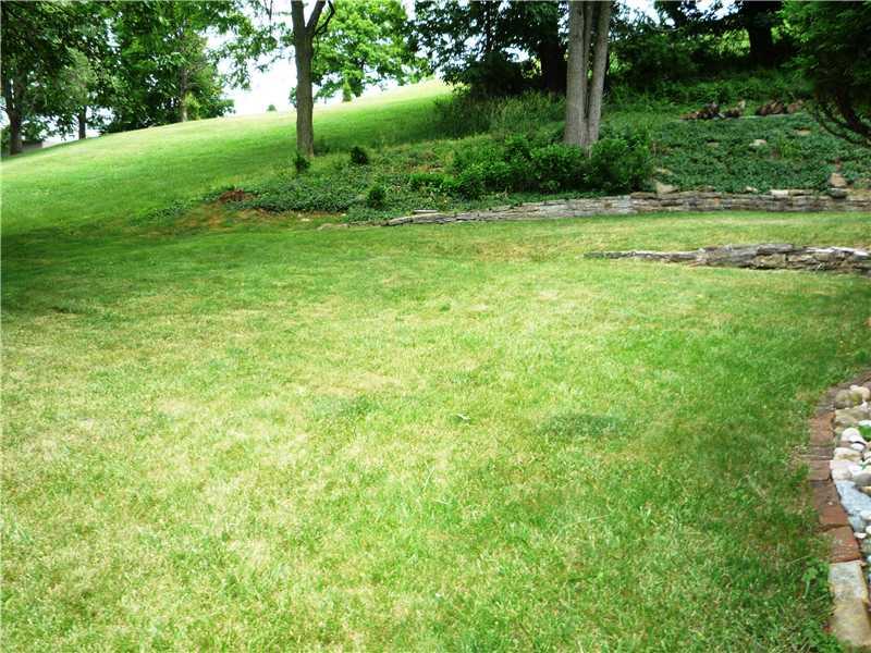 303 Dailey Road Brentwood, PA 15227 - Photo 25 of 25 Yard/Garden.