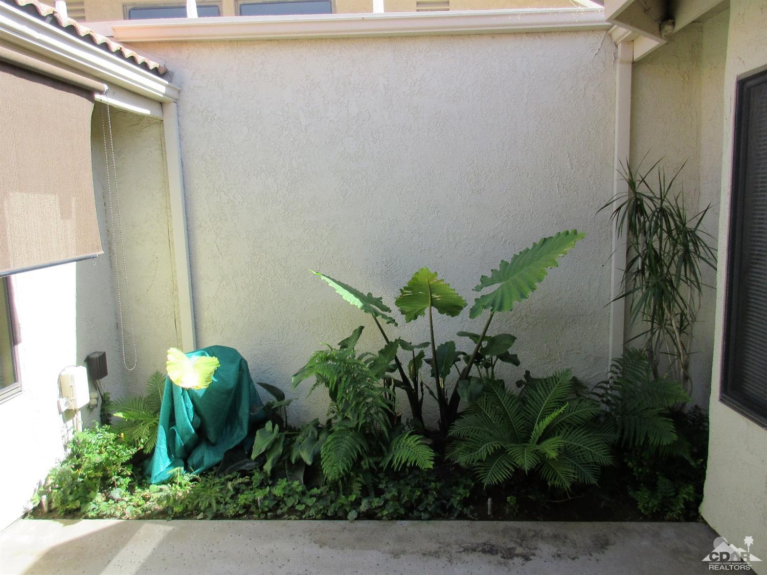 1 Pacifica Lane Palm Desert, CA 92260 - Photo 7 of 22 a plant that is in front of a door