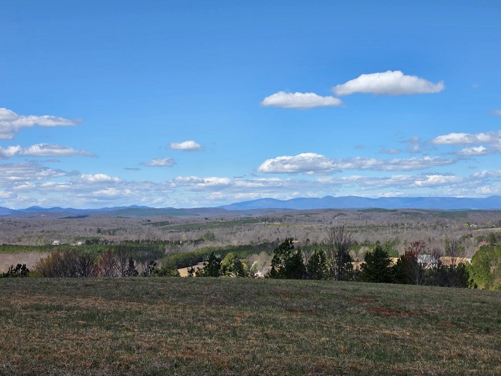 Skyline Road Appomattox, VA 24522 - Photo 2 of 17 Gallery Image 2