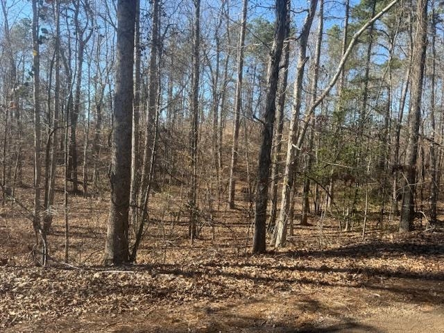 8 Harris Road Bolivar, TN 38008 - Photo 13 of 22 a backyard of a house with lots of green space