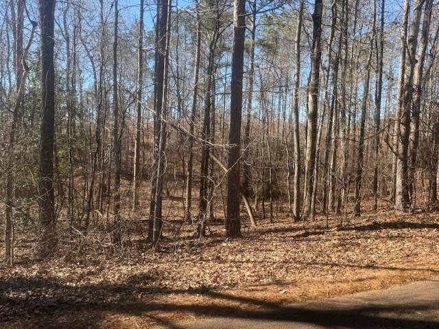 8 Harris Road Bolivar, TN 38008 - Photo 14 of 22 a backyard of a house with lots of green space