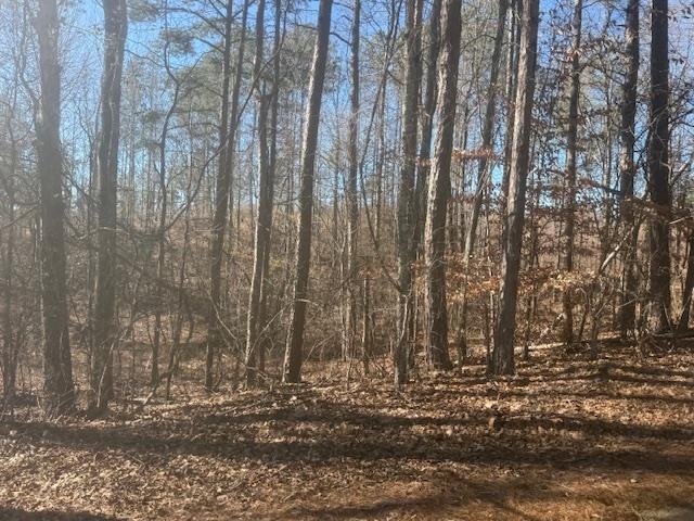 8 Harris Road Bolivar, TN 38008 - Photo 15 of 22