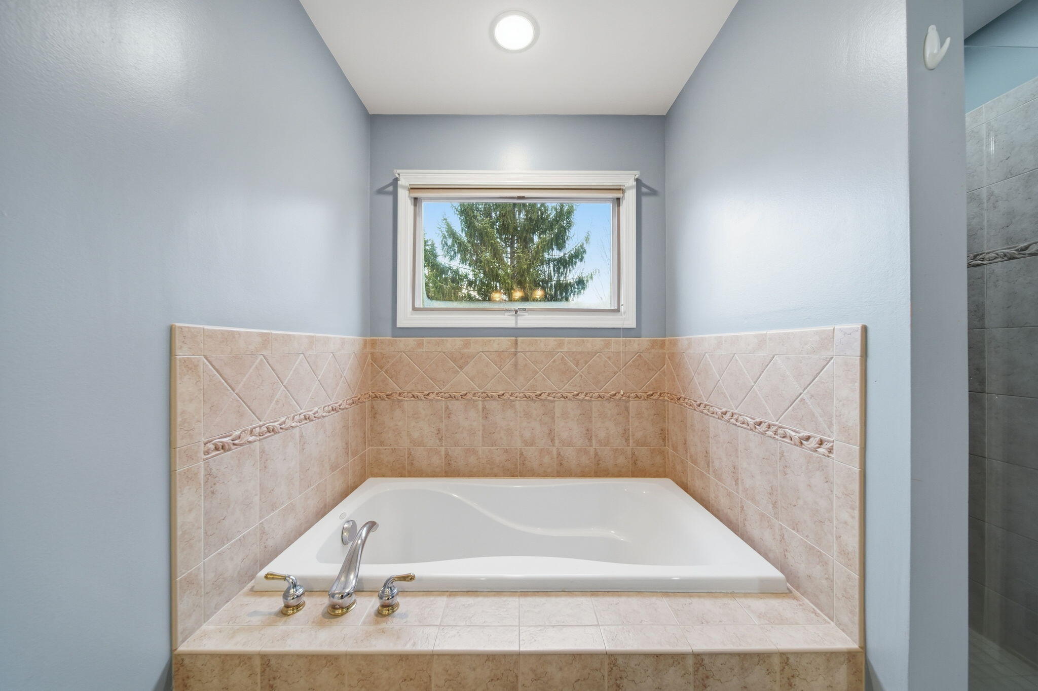 11085 Village Lane Clinton, MI 49236 - Photo 27 of 54 29-web-or-mls-DSC05251