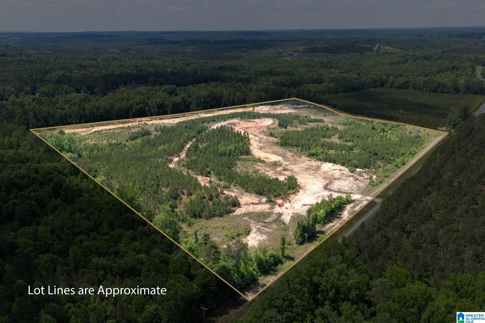 16 County Road Maplesville, AL 36750 - Photo 1 of 26