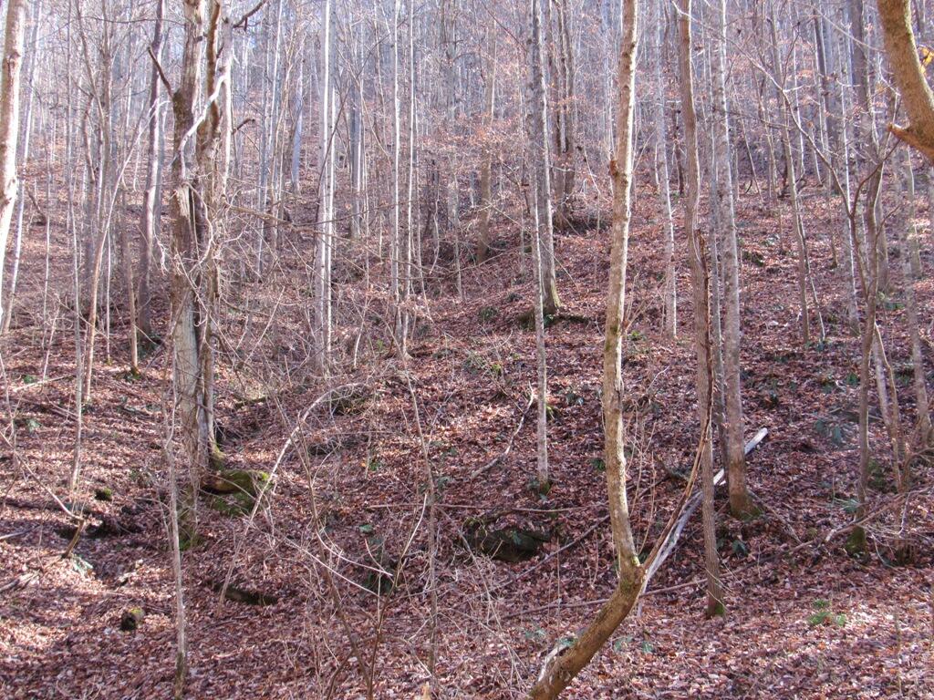 13466 Caney Valley Road Abingdon, VA 24210 - Photo 11 of 13 IMG_1593