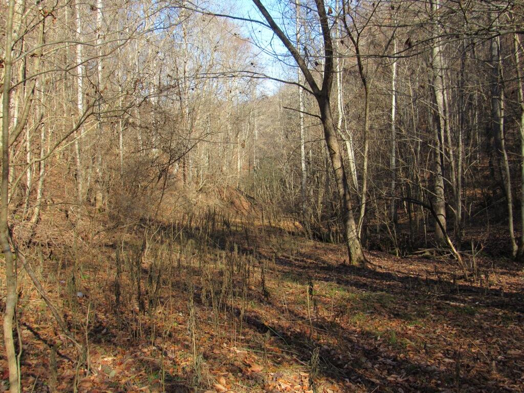 13466 Caney Valley Road Abingdon, VA 24210 - Photo 10 of 13 IMG_1592