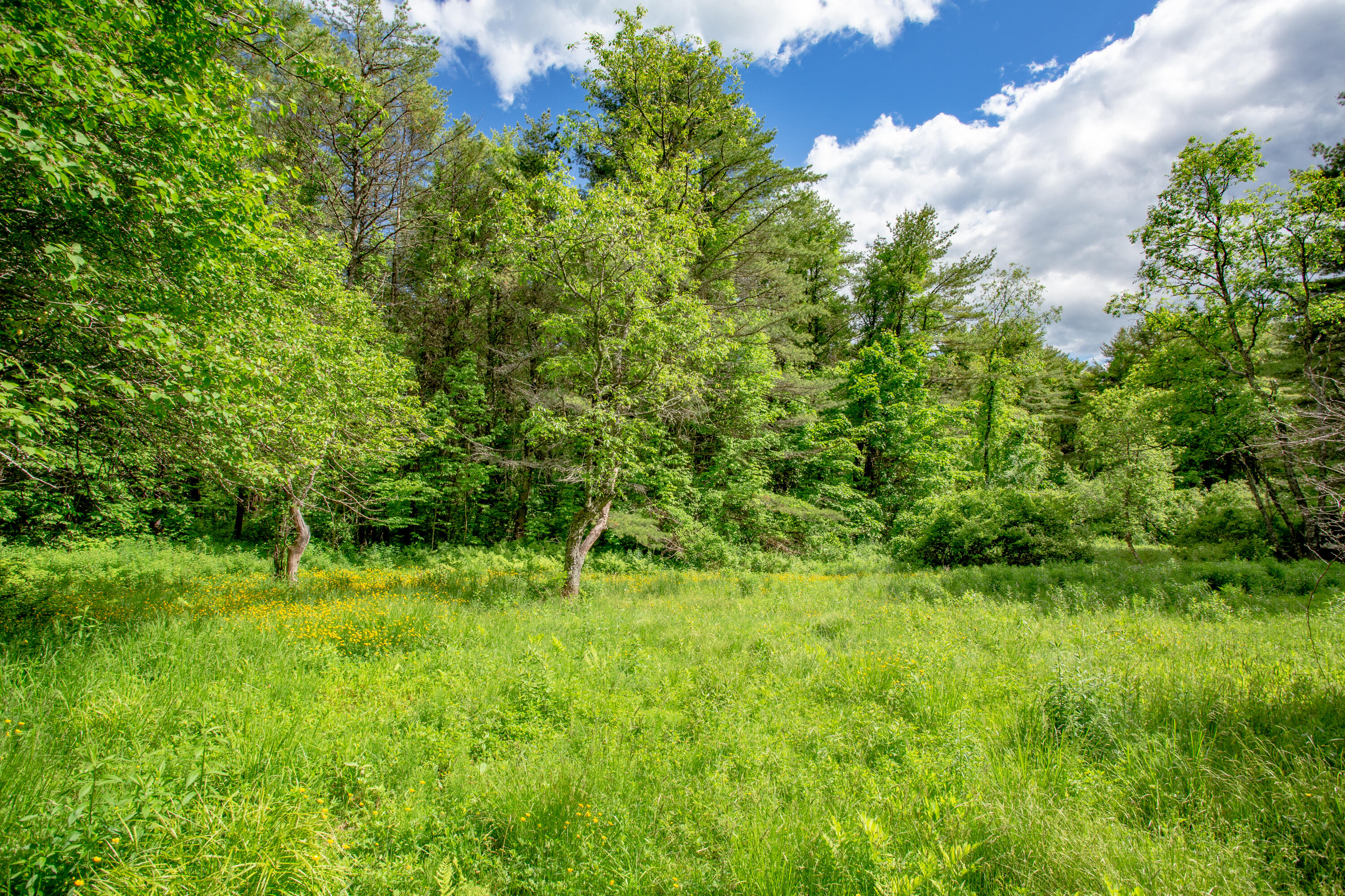 Lot 22 Bristol Road Bristol, ME 04539 - Photo 22 of 24 02-000BristolRd-Bristol-KS