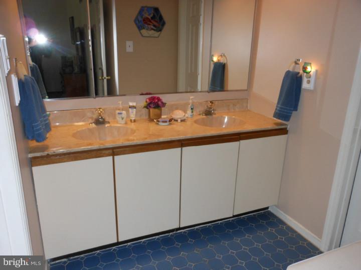 216 Springhouse Pond Wayne, PA 19087 - Photo 14 of 20 Master Bathroom
