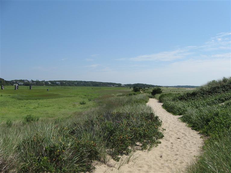 79 Forest Beach Rd Extension Chatham, MA 02659 - Photo 13 of 15 Additional Photo