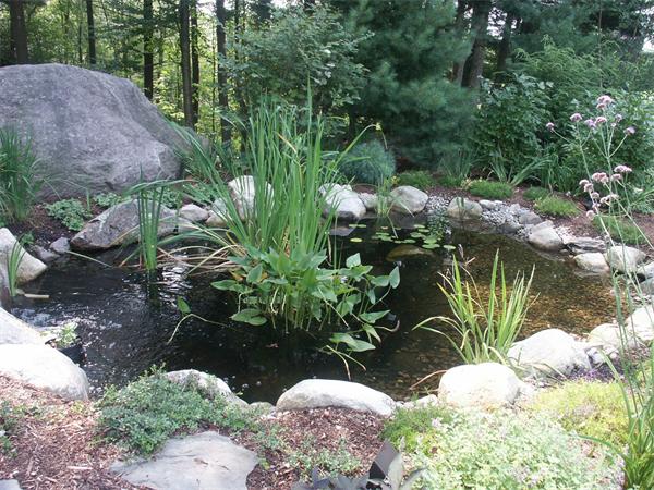 25 Raven Road Canton, MA 02021 - Photo 20 of 30