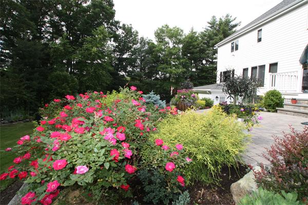 25 Raven Road Canton, MA 02021 - Photo 24 of 30
