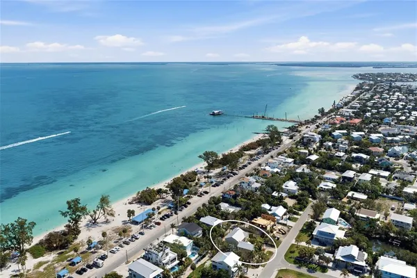 a plant is in front of a house