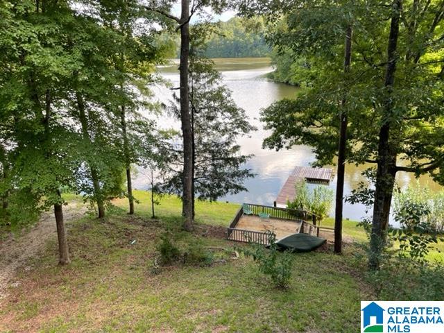 143 County Road 2010 Delta, AL 36258 - Photo 22 of 32