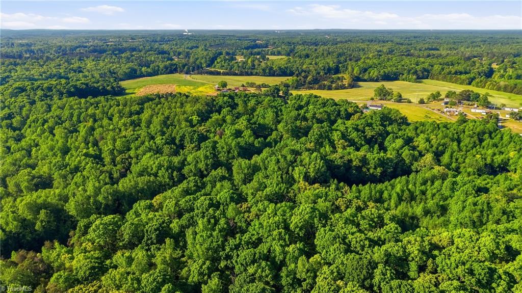 309 Tom Caudle Road Lexington, NC 27295 - Photo 41 of 43
