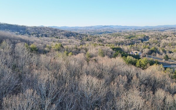 Sorghum Ridge Blairsville, GA 30512 - Photo 10 of 15 Additional View