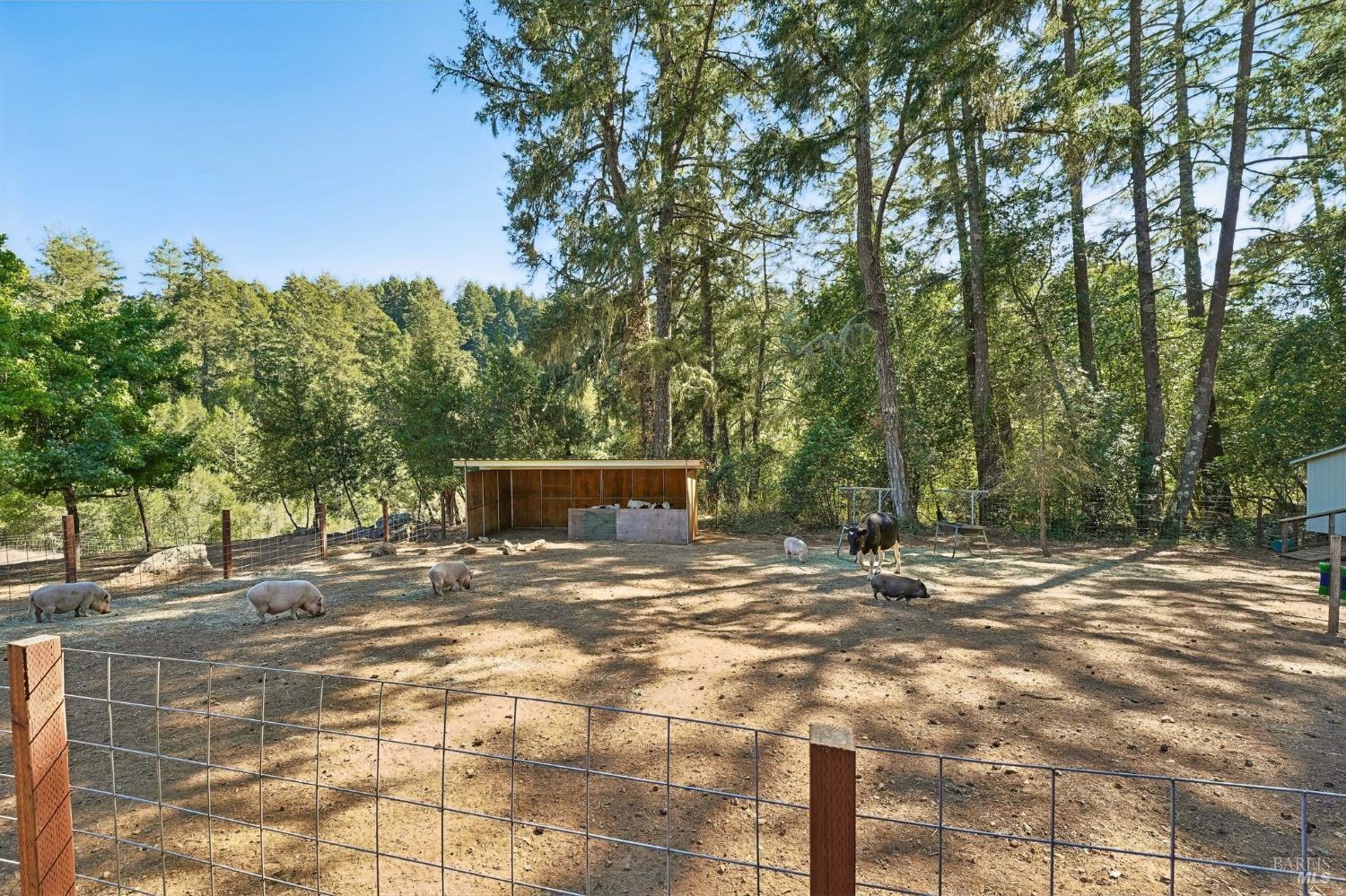 16560 Coleman Valley Road Occidental, CA 95465 - Photo 69 of 87 Gallery Image 69