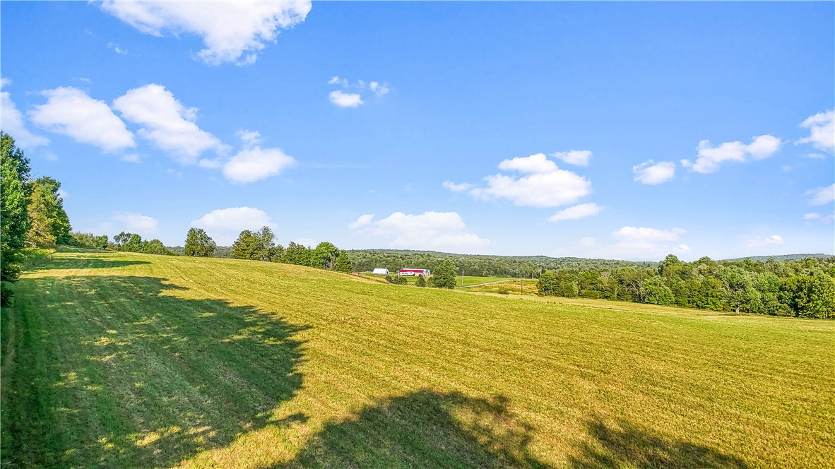137 Stone Ridge Drive Jefferson, NY 12093 - Photo 11 of 20