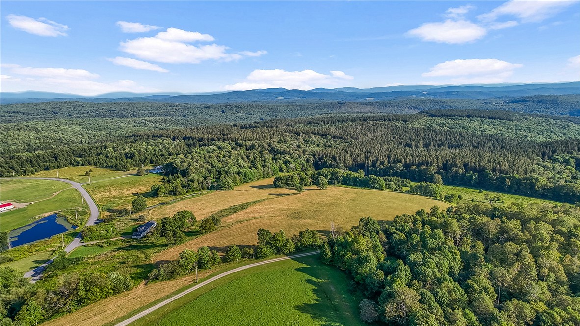 137 Stone Ridge Drive Jefferson, NY 12093 - Photo 18 of 20