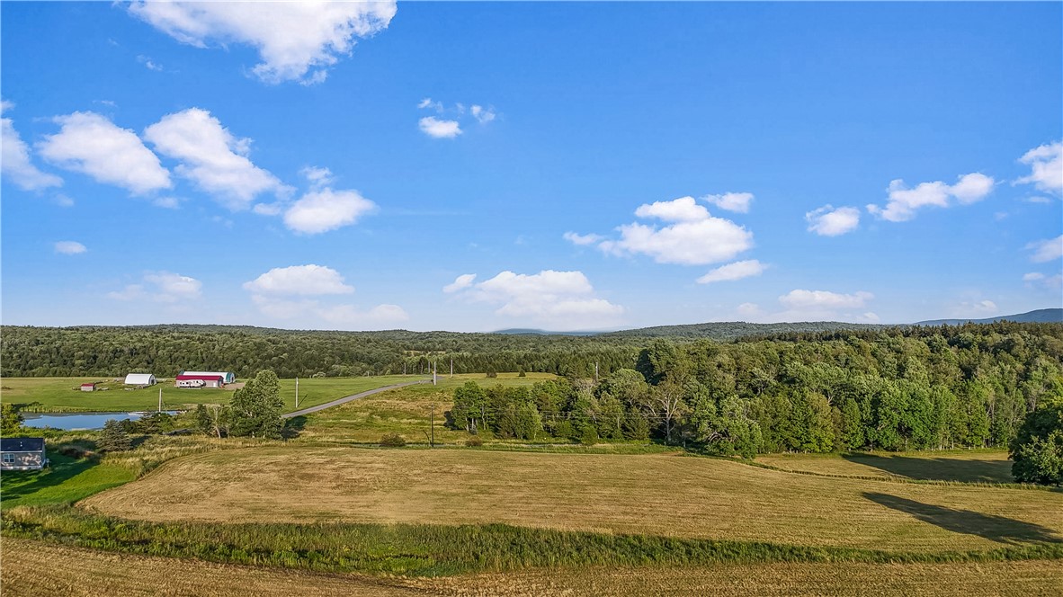137 Stone Ridge Drive Jefferson, NY 12093 - Photo 19 of 20