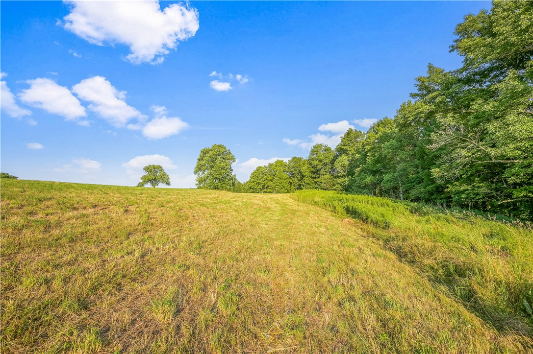 137 Stone Ridge Drive Jefferson, NY 12093 - Photo 7 of 20