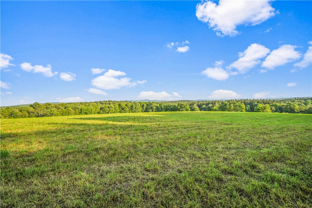137 Stone Ridge Drive Jefferson, NY 12093 - Photo 8 of 20