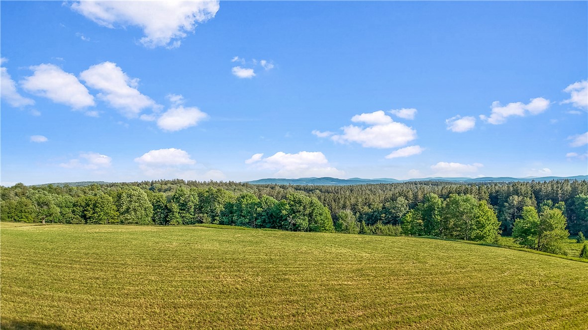 137 Stone Ridge Drive Jefferson, NY 12093 - Photo 10 of 20