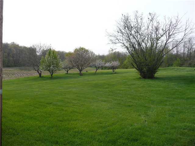 158 Main Road Delaware, OH 43015 - Photo 4 of 15