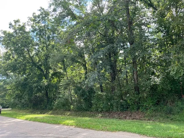 a view of a yard with a trees