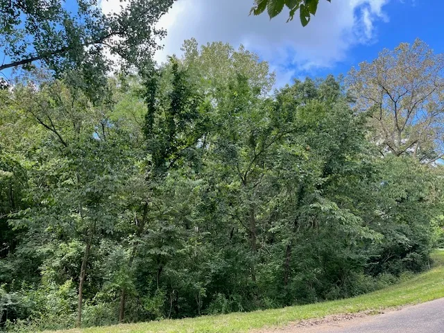 an aerial view of residential house with outdoor space and trees all around