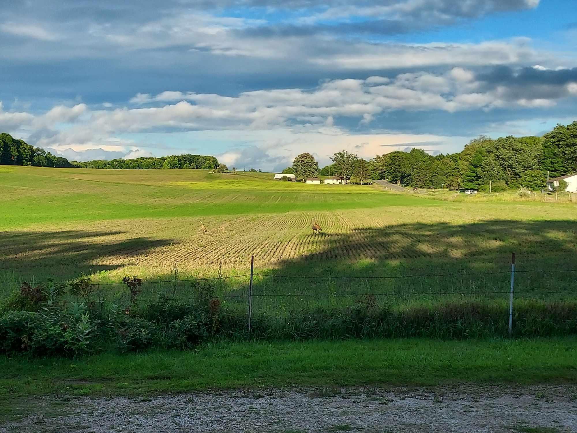 17210 McKinley Road Big Rapids, MI 49307 - Photo 12 of 55 17210 Mckinley 9