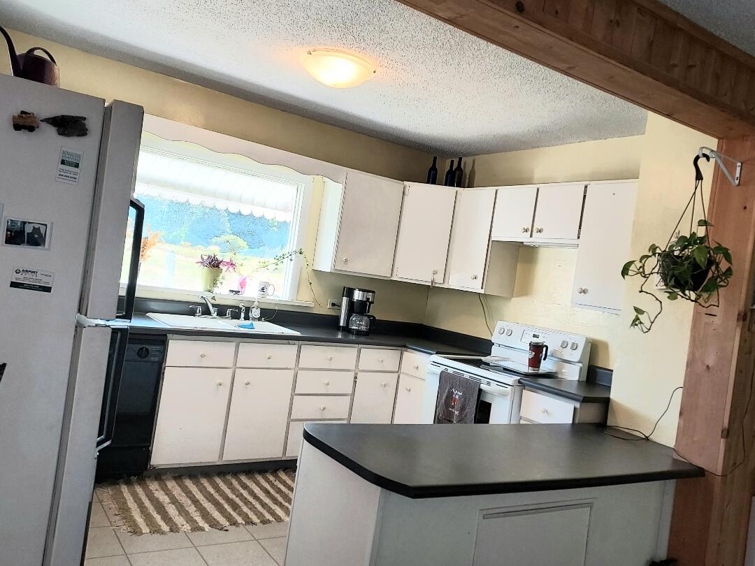 17210 McKinley Road Big Rapids, MI 49307 - Photo 8 of 55 17210 Mckinley Kitchen 1