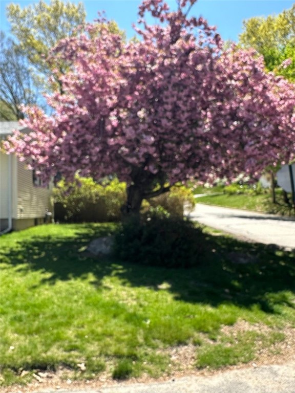 53 Exchange Road West Warwick, RI 02893 - Photo 35 of 35