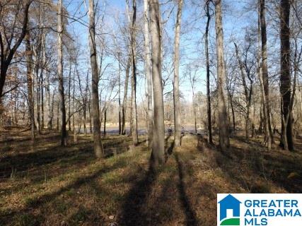 0 Pea Ridge Circle, Unit 424 Union Grove, AL 35175 - Photo 42 of 49