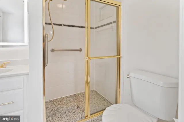 a bathroom with a shower and a toilet