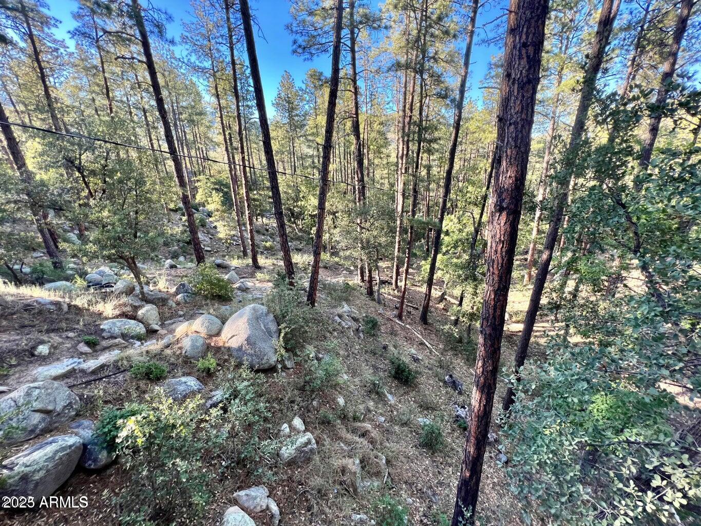 23830 South Van Tilborg Road Crown King, AZ 86343 - Photo 16 of 44 16