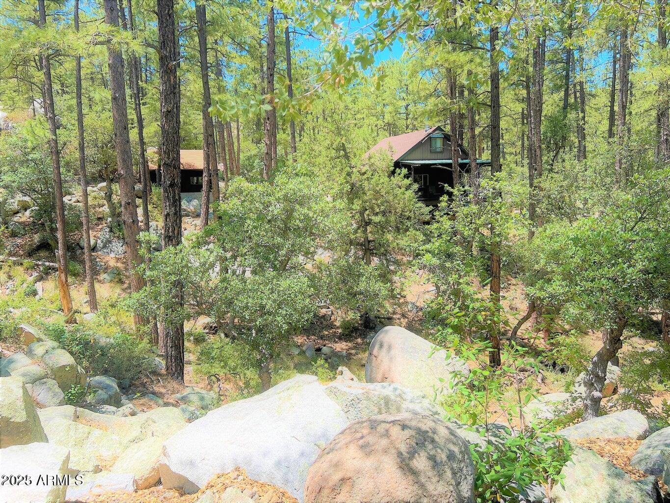 23830 South Van Tilborg Road Crown King, AZ 86343 - Photo 25 of 44 25